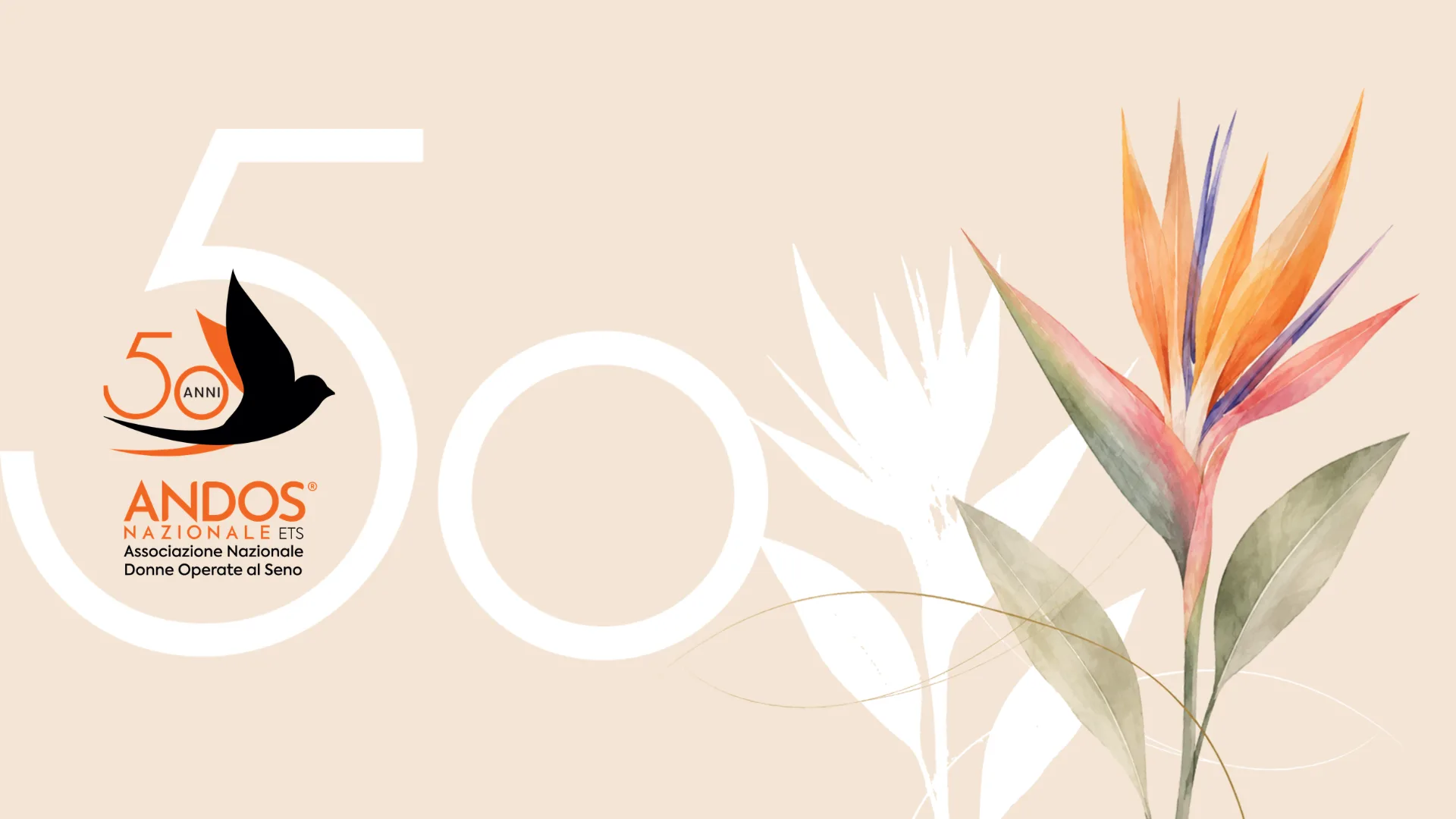The evolution of care — Fifty years of ANDOS